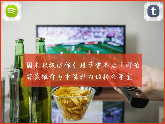 国米积极运作引进萨索洛后卫穆哈雷莫维奇与中场科内的转会事宜